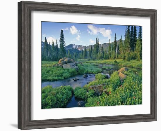 Picnic Creek in the Jewel Basin of the Swan Mountain Range, Montana, USA-Chuck Haney-Framed Photographic Print