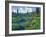 Picnic Creek in the Jewel Basin of the Swan Mountain Range, Montana, USA-Chuck Haney-Framed Photographic Print