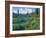 Picnic Creek in the Jewel Basin of the Swan Mountain Range, Montana, USA-Chuck Haney-Framed Photographic Print