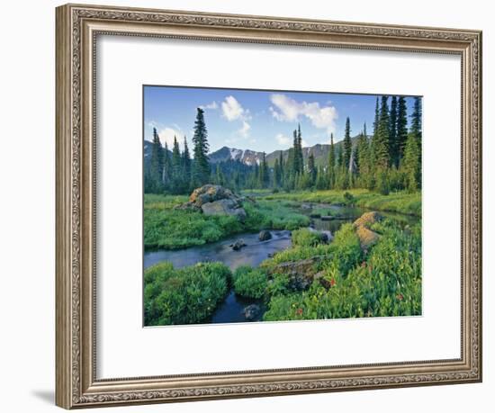 Picnic Creek in the Jewel Basin of the Swan Mountain Range, Montana, USA-Chuck Haney-Framed Photographic Print