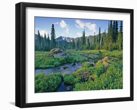 Picnic Creek in the Jewel Basin of the Swan Mountain Range, Montana, USA-Chuck Haney-Framed Photographic Print