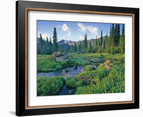 Picnic Creek in the Jewel Basin of the Swan Mountain Range, Montana, USA-Chuck Haney-Framed Photographic Print