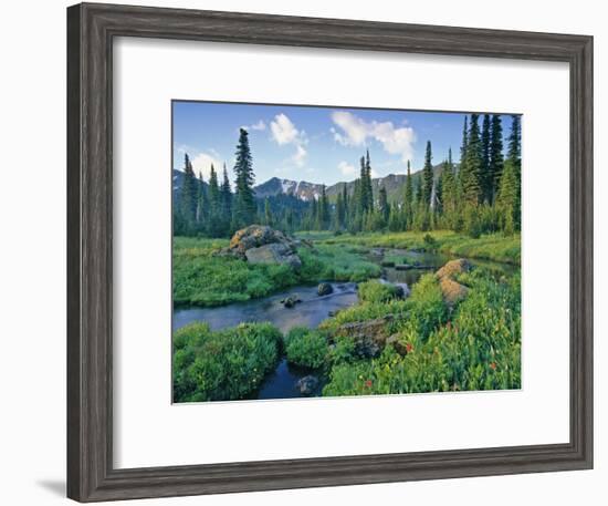 Picnic Creek in the Jewel Basin of the Swan Mountain Range, Montana, USA-Chuck Haney-Framed Photographic Print