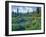 Picnic Creek in the Jewel Basin of the Swan Mountain Range, Montana, USA-Chuck Haney-Framed Photographic Print