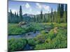 Picnic Creek in the Jewel Basin of the Swan Mountain Range, Montana, USA-Chuck Haney-Mounted Photographic Print