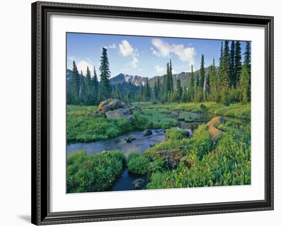 Picnic Creek in the Jewel Basin of the Swan Mountain Range, Montana, USA-Chuck Haney-Framed Photographic Print