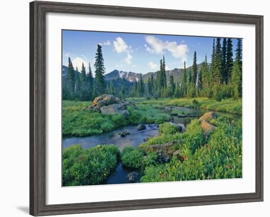 Picnic Creek in the Jewel Basin of the Swan Mountain Range, Montana, USA-Chuck Haney-Framed Photographic Print