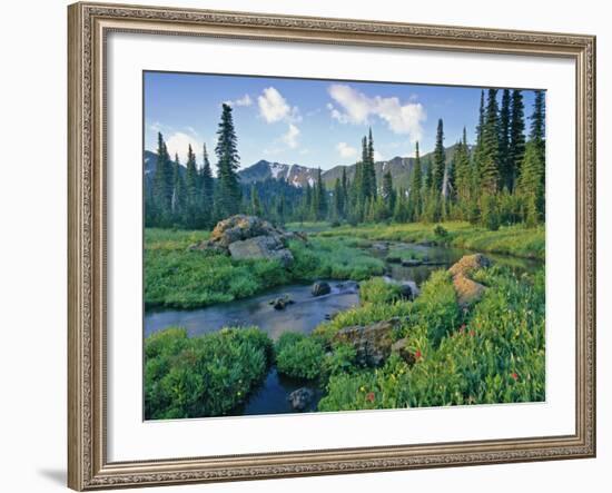 Picnic Creek in the Jewel Basin of the Swan Mountain Range, Montana, USA-Chuck Haney-Framed Photographic Print