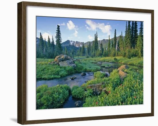 Picnic Creek in the Jewel Basin of the Swan Mountain Range, Montana, USA-Chuck Haney-Framed Photographic Print