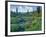 Picnic Creek in the Jewel Basin of the Swan Mountain Range, Montana, USA-Chuck Haney-Framed Photographic Print