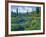 Picnic Creek in the Jewel Basin of the Swan Mountain Range, Montana, USA-Chuck Haney-Framed Photographic Print