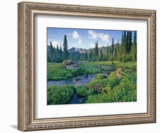 Picnic Creek in the Jewel Basin of the Swan Mountain Range, Montana, USA-Chuck Haney-Framed Photographic Print