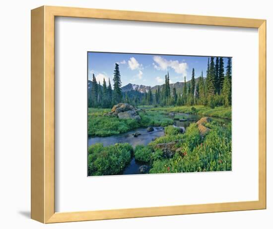 Picnic Creek in the Jewel Basin of the Swan Mountain Range, Montana, USA-Chuck Haney-Framed Photographic Print