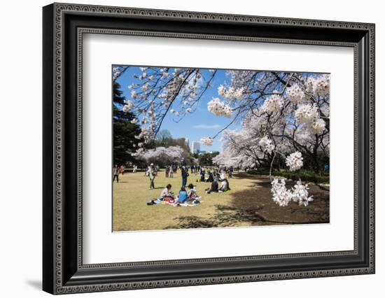 Picnic in the Cherry Blossom in the Shinjuku-Gyoen Park, Tokyo, Japan, Asia-Michael Runkel-Framed Photographic Print