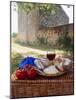 Picnic Lunch of Bread, Cheese, Tomatoes and Red Wine on a Hamper in the Dordogne, France-Michael Busselle-Mounted Photographic Print
