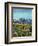 "Picnic On Mt. Ranier", July 17, 1954-John Clymer-Framed Giclee Print