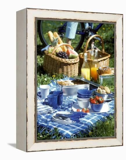 Picnic Scene-Alena Hrbkova-Framed Premier Image Canvas