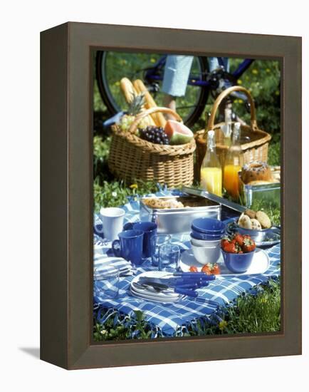 Picnic Scene-Alena Hrbkova-Framed Premier Image Canvas