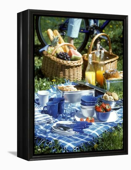 Picnic Scene-Alena Hrbkova-Framed Premier Image Canvas