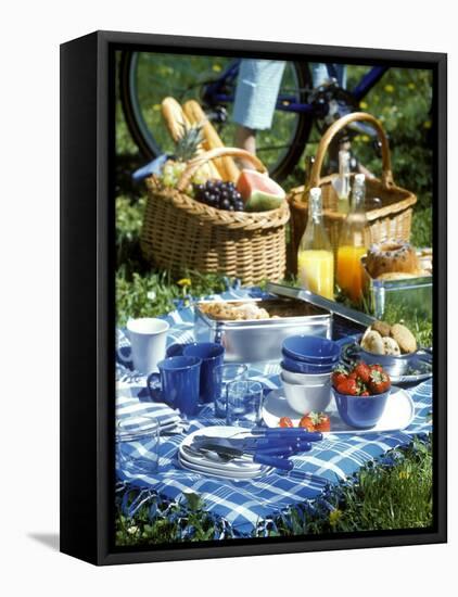 Picnic Scene-Alena Hrbkova-Framed Premier Image Canvas