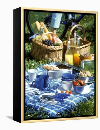 Picnic Scene-Alena Hrbkova-Framed Premier Image Canvas