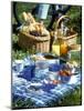 Picnic Scene-Alena Hrbkova-Mounted Photographic Print