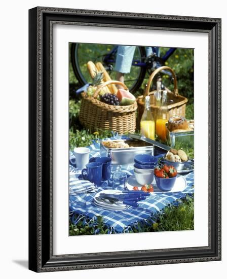 Picnic Scene-Alena Hrbkova-Framed Photographic Print