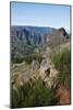 Pico De Areeiro, Madeira, Portugal. View of the Peaks and Mountains at Pico De Areeiro-Natalie Tepper-Mounted Photo