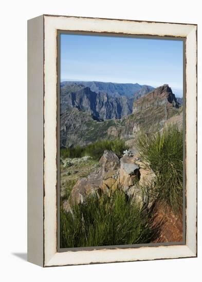Pico De Areeiro, Madeira, Portugal. View of the Peaks and Mountains at Pico De Areeiro-Natalie Tepper-Framed Stretched Canvas