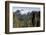 Pico do Areeiro mountain peak in Madeira, Portugal-David Santiago Garcia-Framed Photographic Print