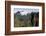 Pico do Areeiro mountain peak in Madeira, Portugal-David Santiago Garcia-Framed Photographic Print