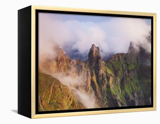 Pico Gato, View from the Miradouro Ninho Da Manta, Arieiro, Madeira, Portugal-Rainer Mirau-Framed Premier Image Canvas