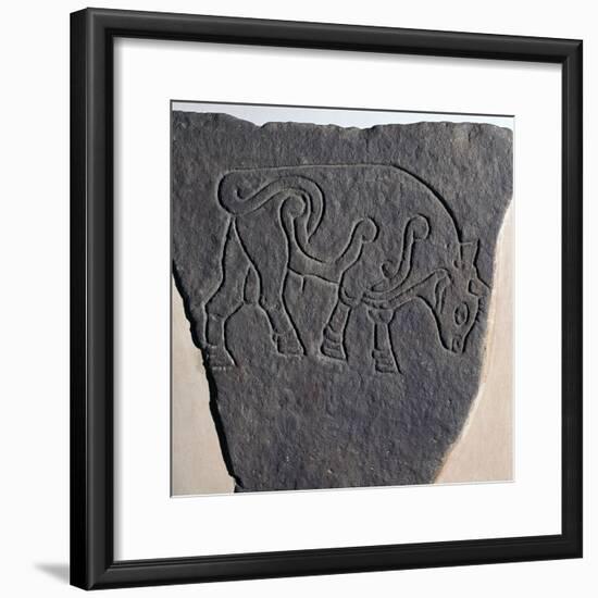 Pictish incised stone with a bull motif, 6th century-Unknown-Framed Giclee Print