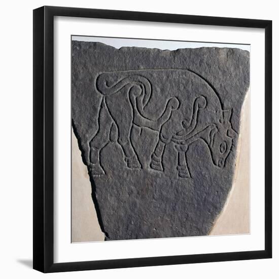 Pictish incised stone with a bull motif, 6th century-Unknown-Framed Giclee Print