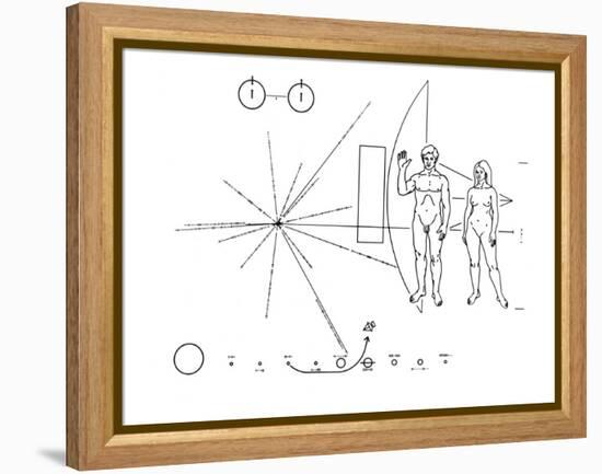 Pictorial Plaque of the Pioneer F Spacecraft Destined for Interstellar Space-null-Framed Stretched Canvas