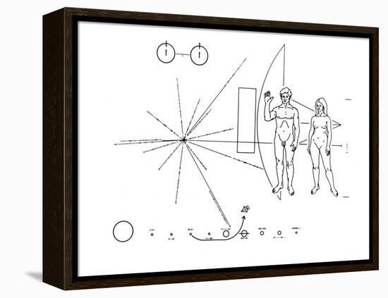 Pictorial Plaque of the Pioneer F Spacecraft Destined for Interstellar Space-null-Framed Stretched Canvas