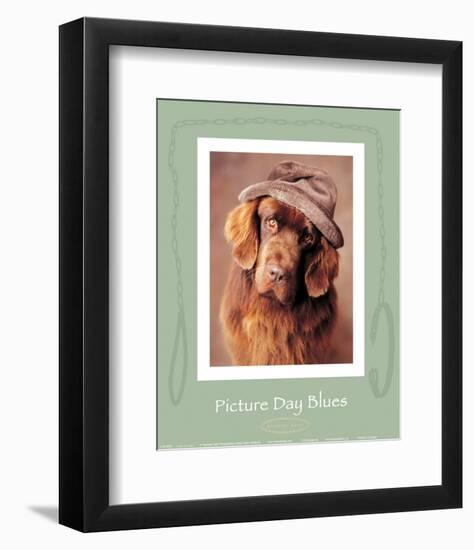 Picture Day Blues-Rachael Hale-Framed Art Print