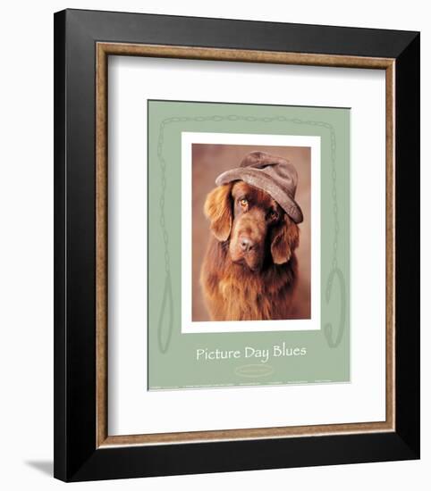 Picture Day Blues-Rachael Hale-Framed Art Print