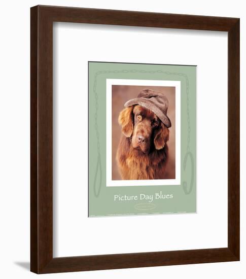 Picture Day Blues-Rachael Hale-Framed Art Print