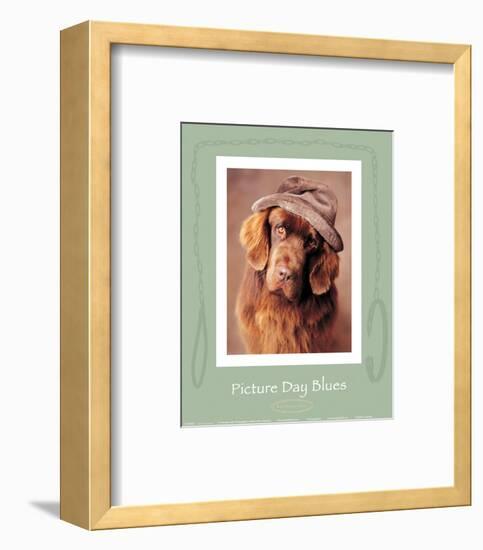 Picture Day Blues-Rachael Hale-Framed Art Print