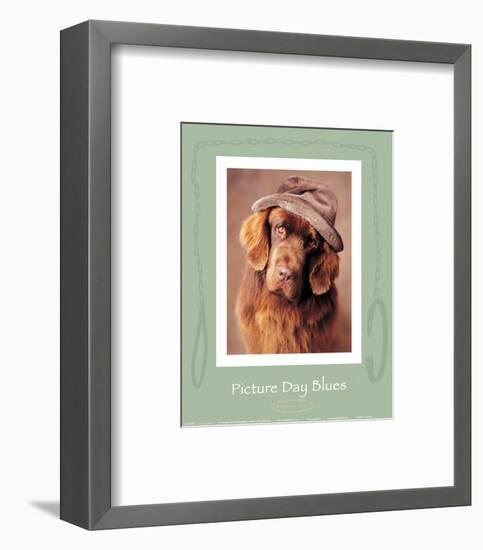 Picture Day Blues-Rachael Hale-Framed Art Print