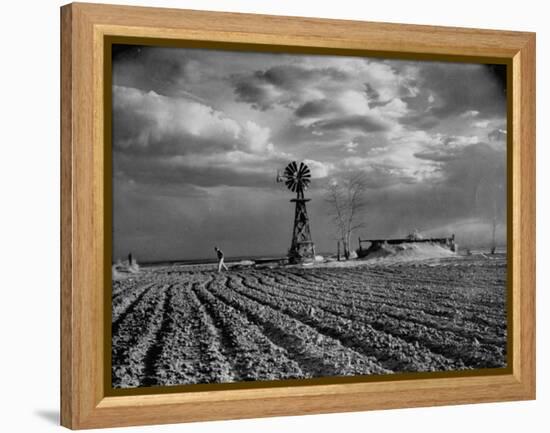 Picture from the Dust Bowl,With Deep Furrows Made by Farmers to Counteract Wind-Margaret Bourke-White-Framed Premier Image Canvas