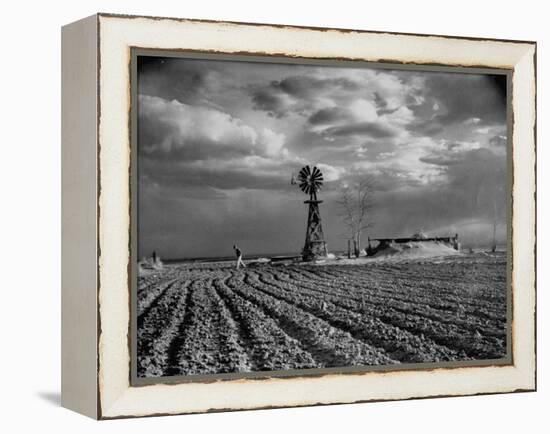 Picture from the Dust Bowl,With Deep Furrows Made by Farmers to Counteract Wind-Margaret Bourke-White-Framed Premier Image Canvas