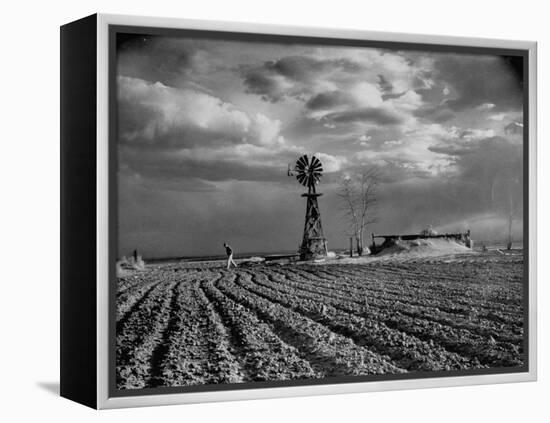 Picture from the Dust Bowl,With Deep Furrows Made by Farmers to Counteract Wind-Margaret Bourke-White-Framed Premier Image Canvas