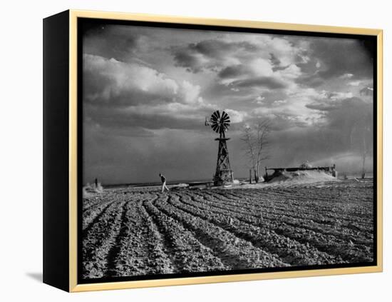 Picture from the Dust Bowl,With Deep Furrows Made by Farmers to Counteract Wind-Margaret Bourke-White-Framed Premier Image Canvas