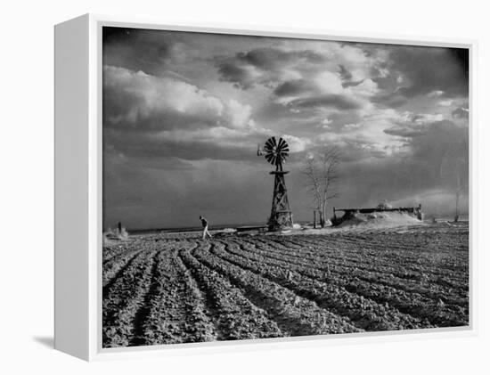 Picture from the Dust Bowl,With Deep Furrows Made by Farmers to Counteract Wind-Margaret Bourke-White-Framed Premier Image Canvas