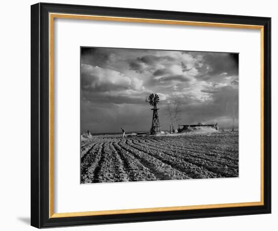 Picture from the Dust Bowl,With Deep Furrows Made by Farmers to Counteract Wind-Margaret Bourke-White-Framed Premium Photographic Print