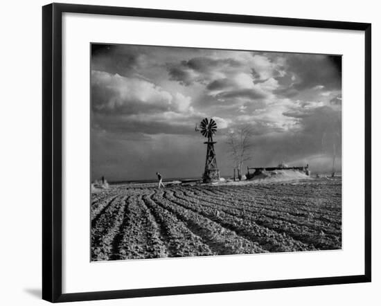 Picture from the Dust Bowl,With Deep Furrows Made by Farmers to Counteract Wind-Margaret Bourke-White-Framed Premium Photographic Print