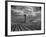 Picture from the Dust Bowl,With Deep Furrows Made by Farmers to Counteract Wind-Margaret Bourke-White-Framed Premium Photographic Print