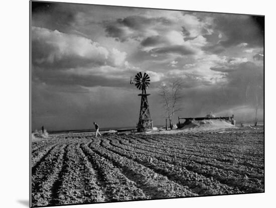 Picture from the Dust Bowl,With Deep Furrows Made by Farmers to Counteract Wind-Margaret Bourke-White-Mounted Premium Photographic Print